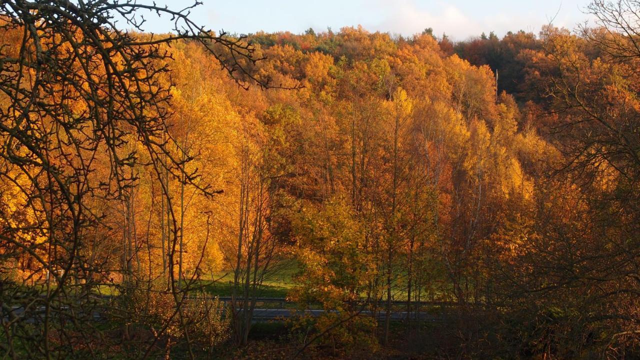 Ferienwohnung Und Pension "Zur Aue" Konigsbruck Экстерьер фото