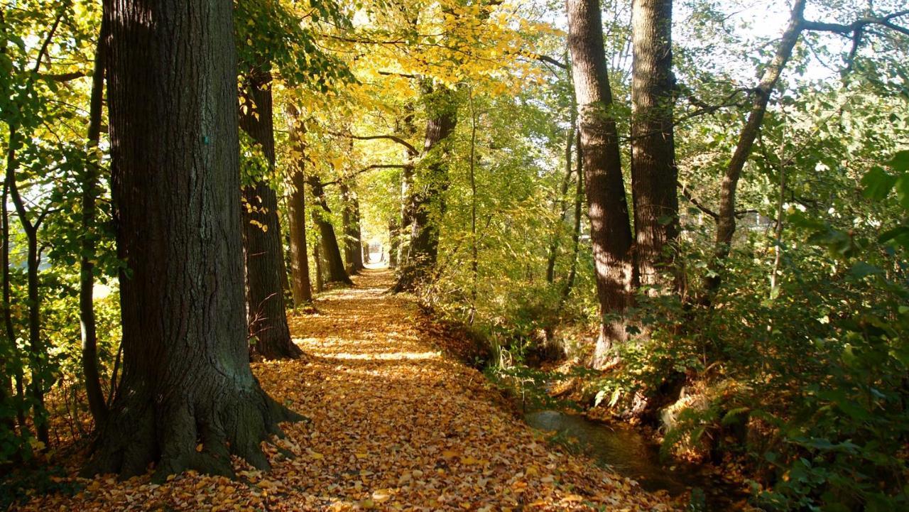 Ferienwohnung Und Pension "Zur Aue" Konigsbruck Экстерьер фото
