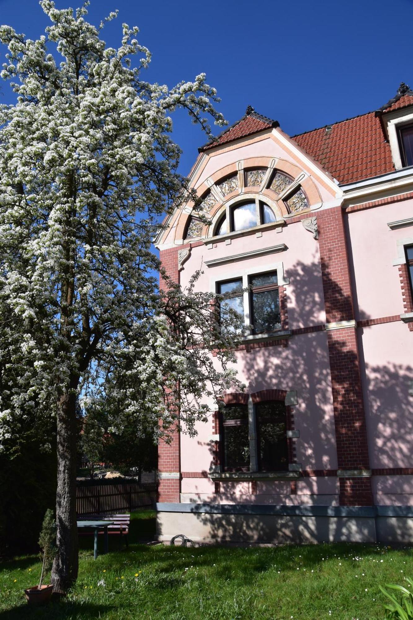Ferienwohnung Und Pension "Zur Aue" Konigsbruck Экстерьер фото