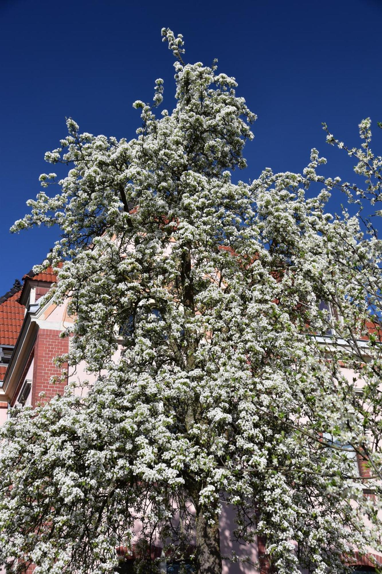 Ferienwohnung Und Pension "Zur Aue" Konigsbruck Экстерьер фото