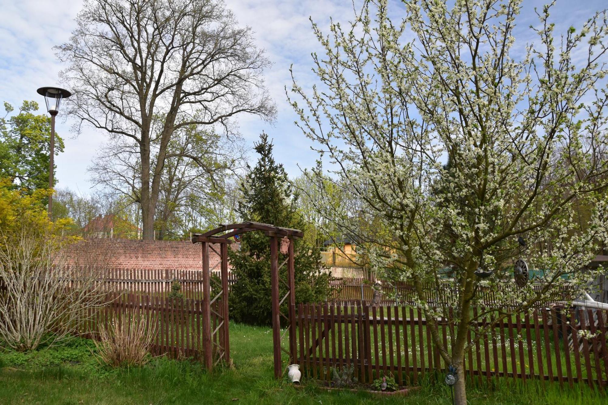 Ferienwohnung Und Pension "Zur Aue" Konigsbruck Экстерьер фото