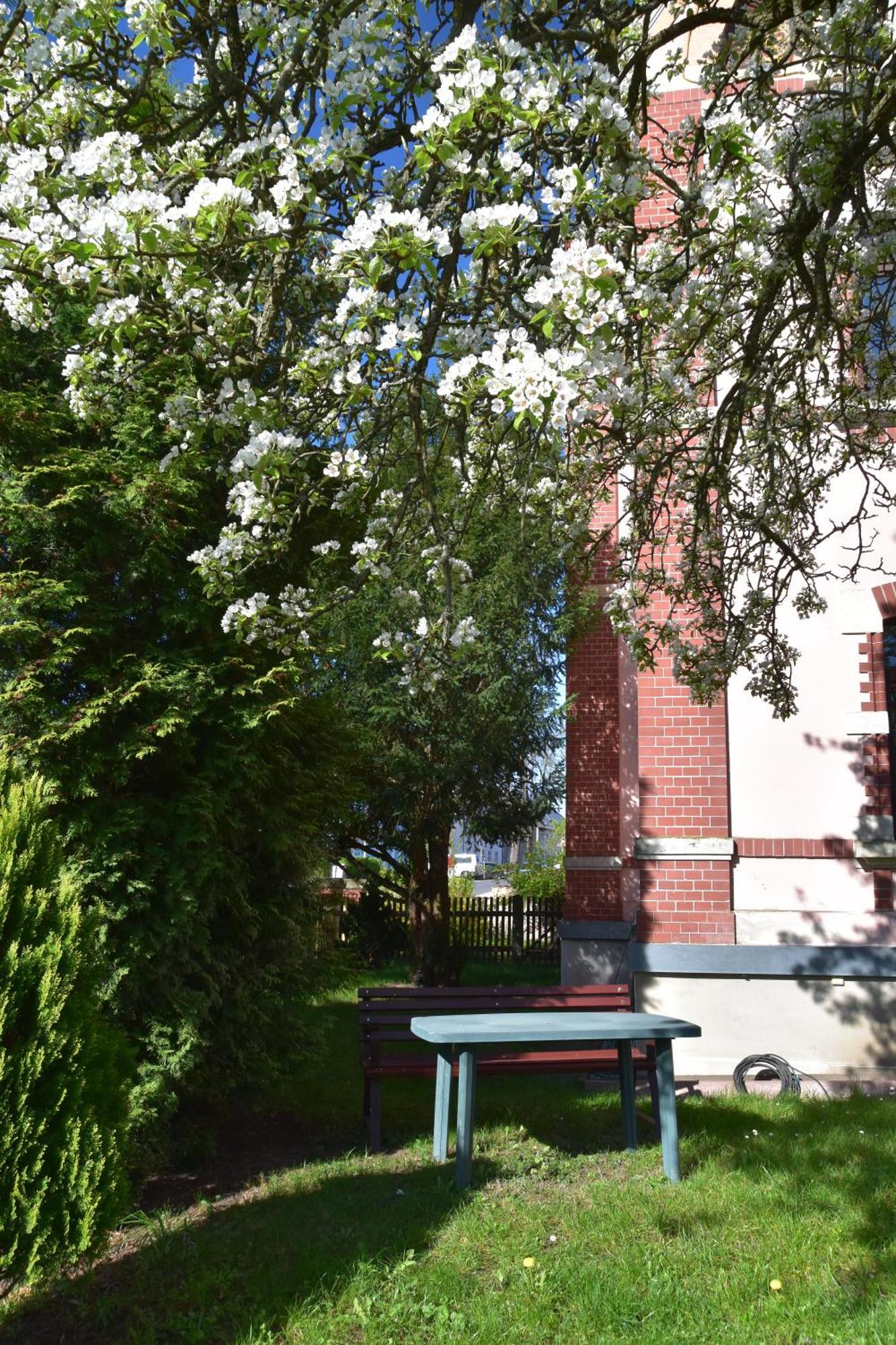 Ferienwohnung Und Pension "Zur Aue" Konigsbruck Экстерьер фото